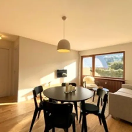 Bright With Terrace In Apartment